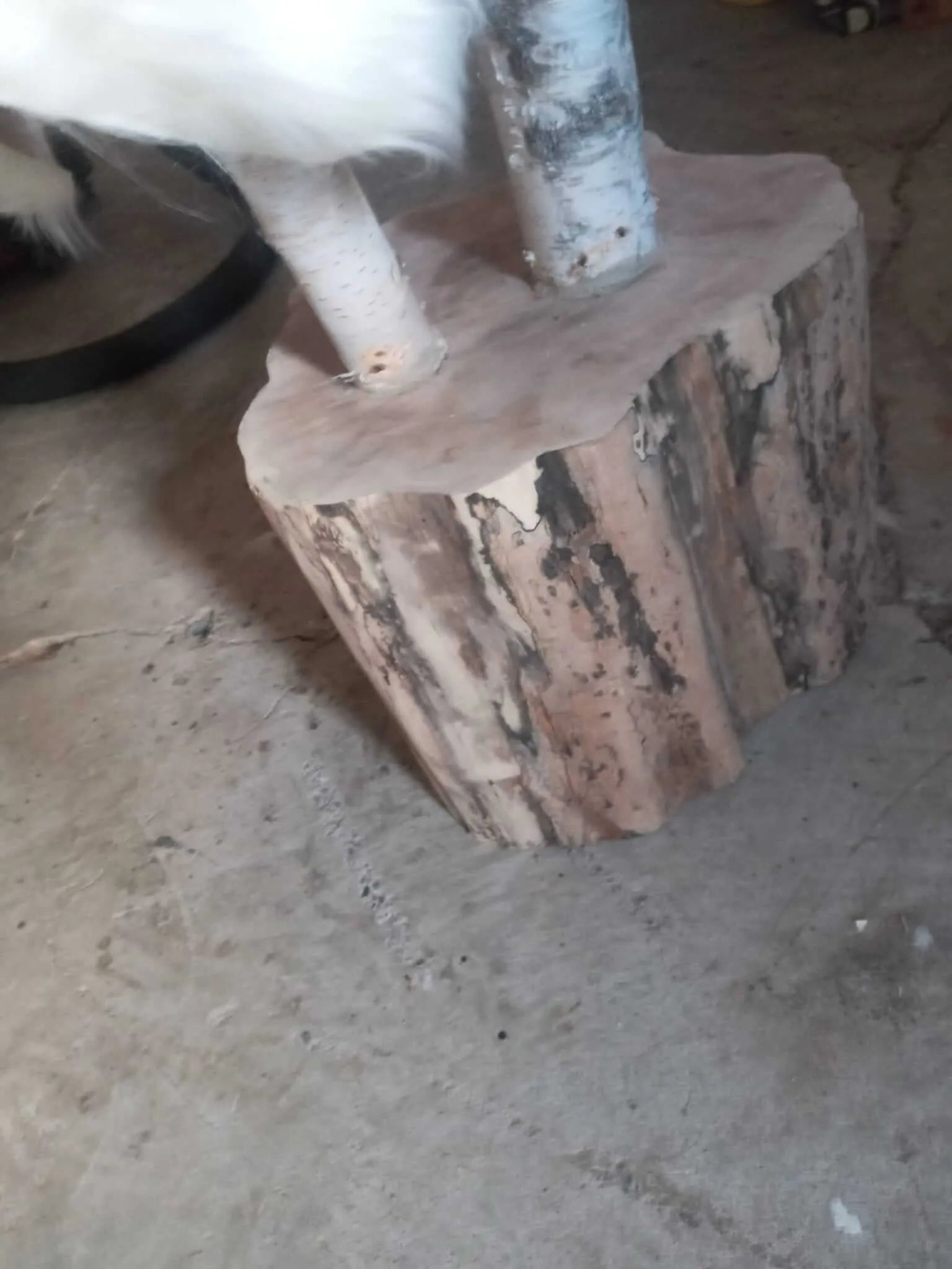 Handcrafted Natural Wood Cat Trees | Elegance & Durable Comfort