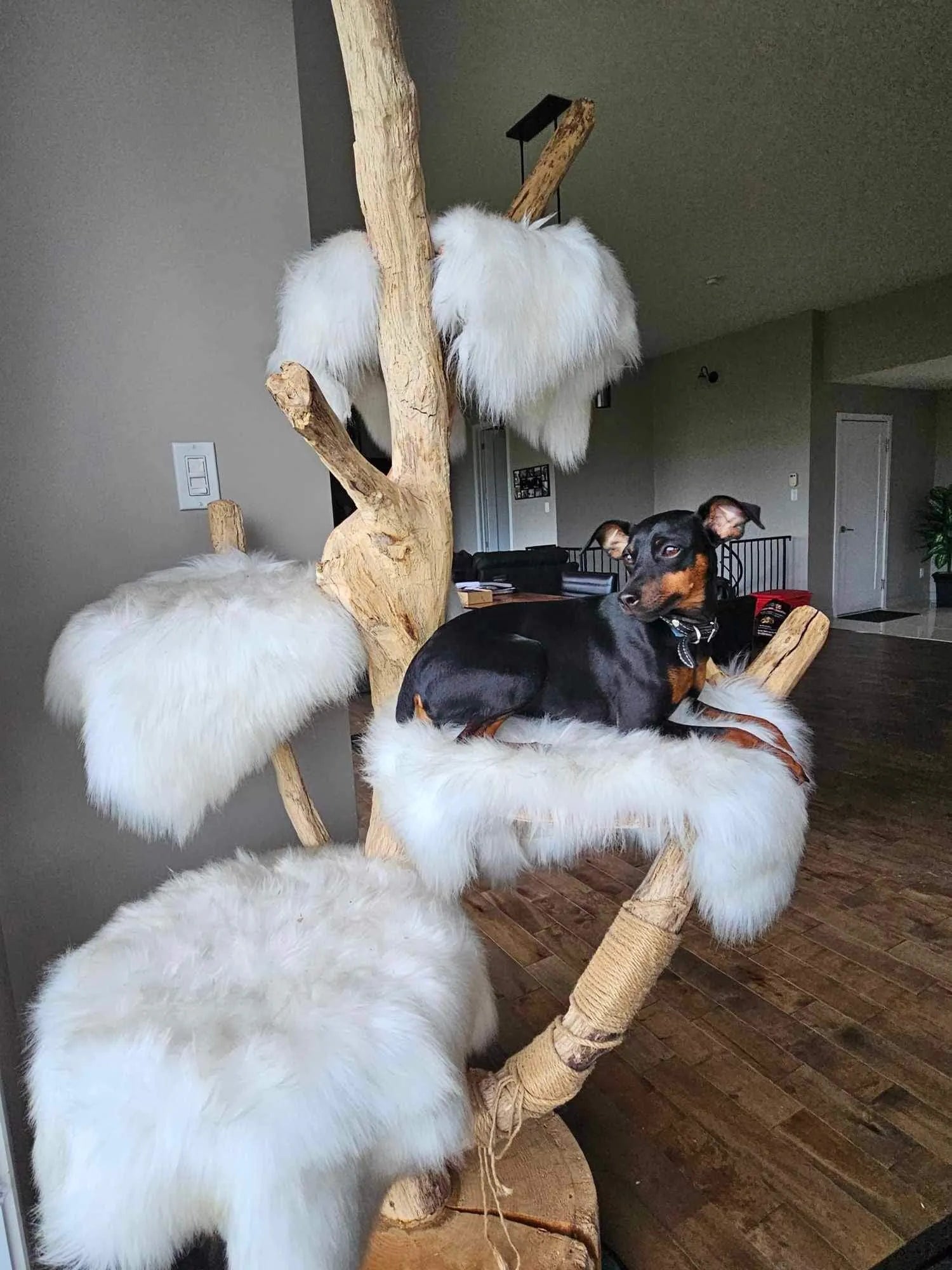 Handcrafted Natural Wood Cat Trees | Elegance & Durable Comfort