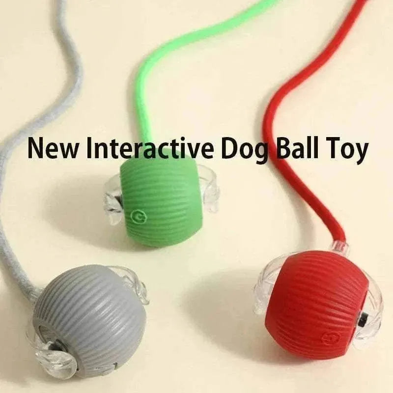 Pelota de juego automática para perros | Juguete interactivo recargable para combatir el aburrimiento