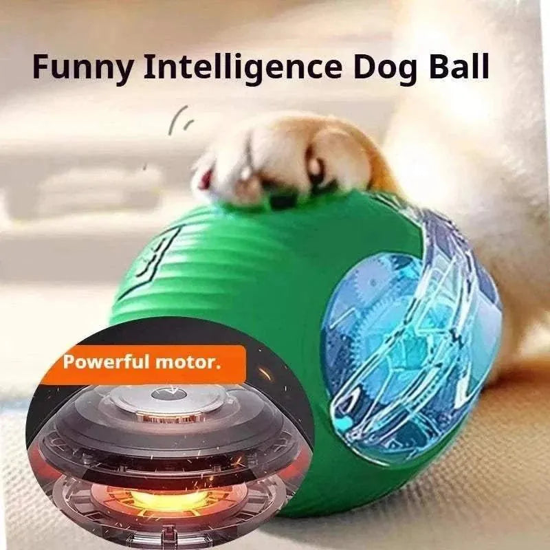 Automatic Dog Play Ball | Interactive Boredom Buster & Rechargeable Toy