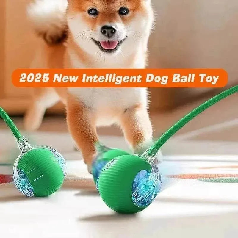 Automatic Dog Play Ball | Interactive Boredom Buster & Rechargeable Toy