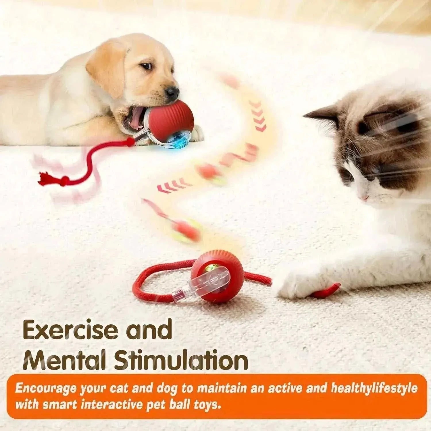 Automatic Dog Play Ball | Interactive Boredom Buster & Rechargeable Toy