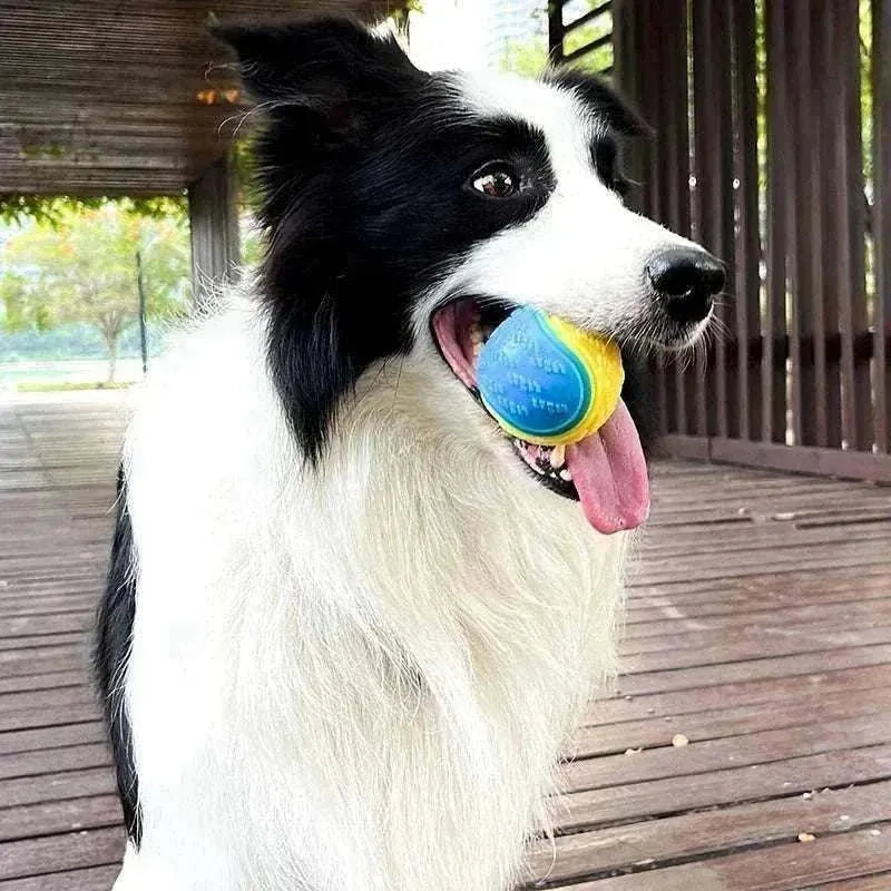 Pelota masticable de TPR para perros | Limpieza dental y juguete interactivo