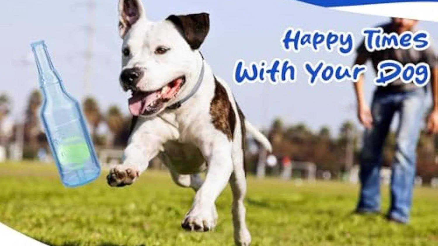 Bouteille d'Eau pour Chiens | Jouet Interactif & Indestructible