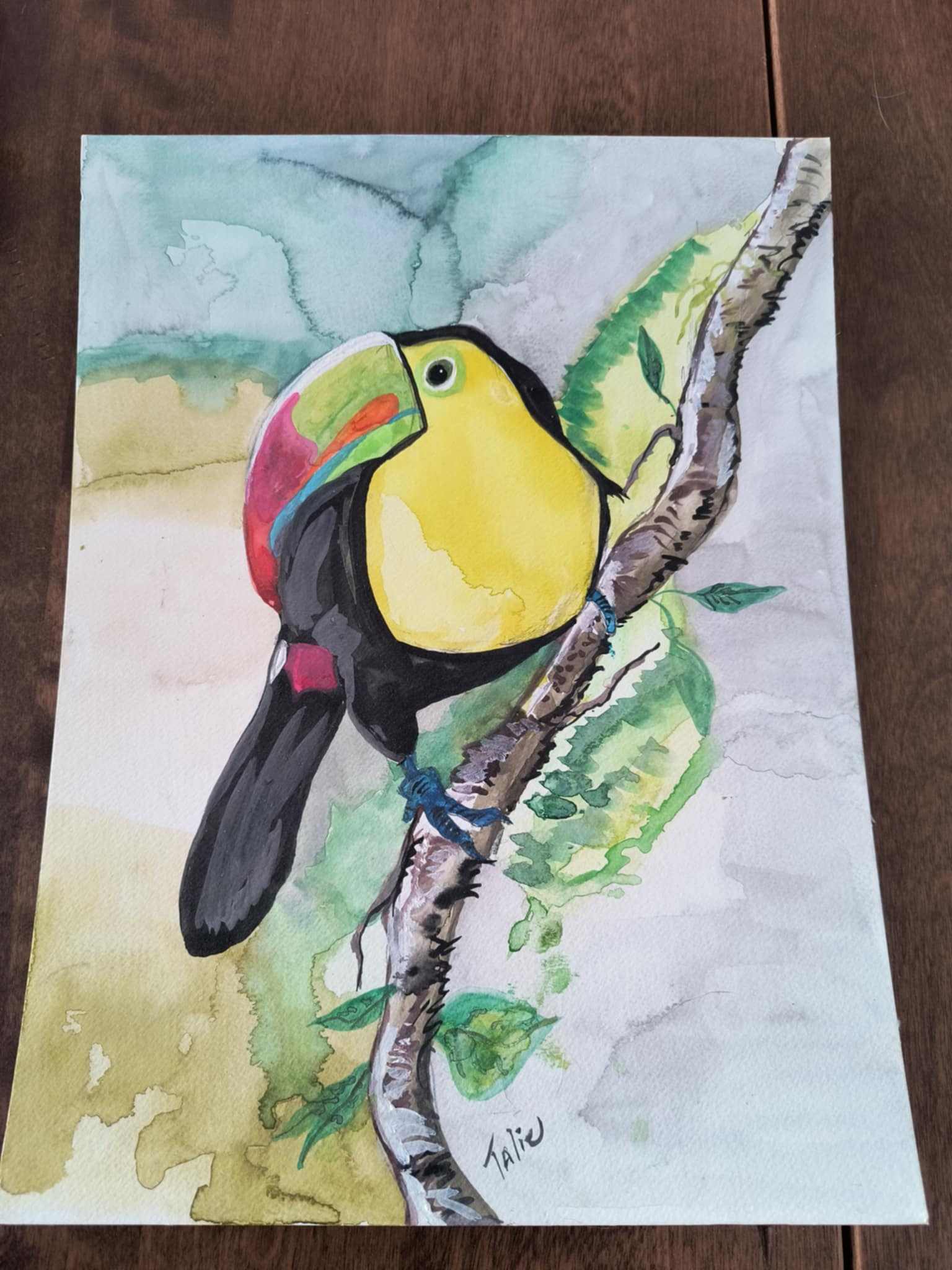Toile aquarelle peinte à la main d'un toucan coloré sur branche, art original de Talie.