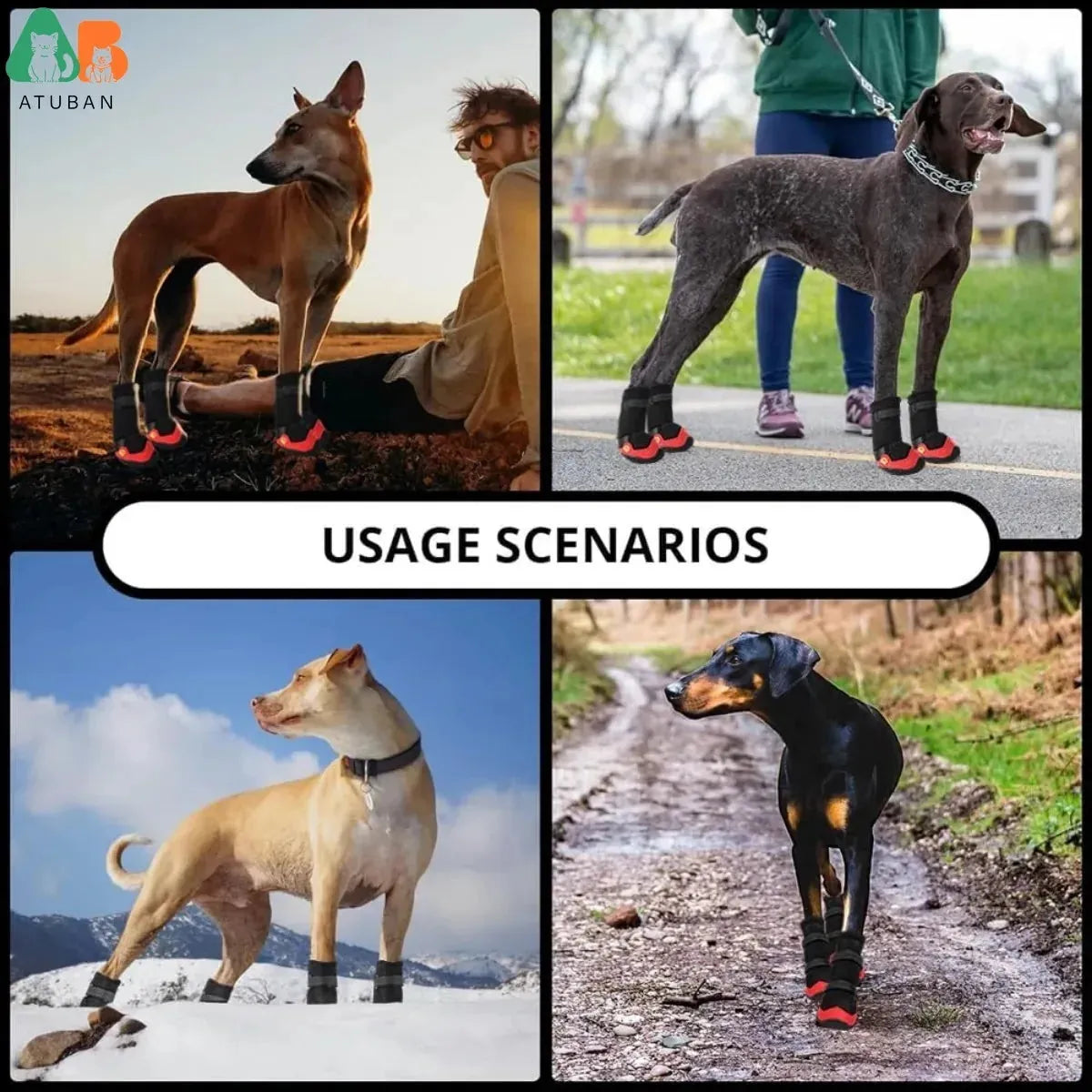 Zapatos impermeables y antideslizantes para perros - Para las 4 estaciones