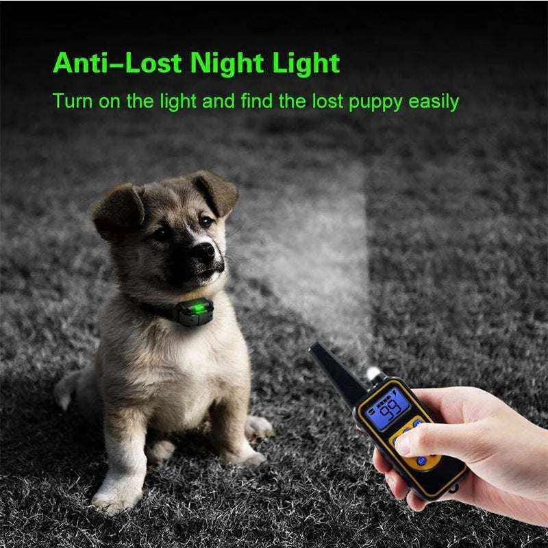 Electric Training Collar | 4 Training Modes & Optimal Safety