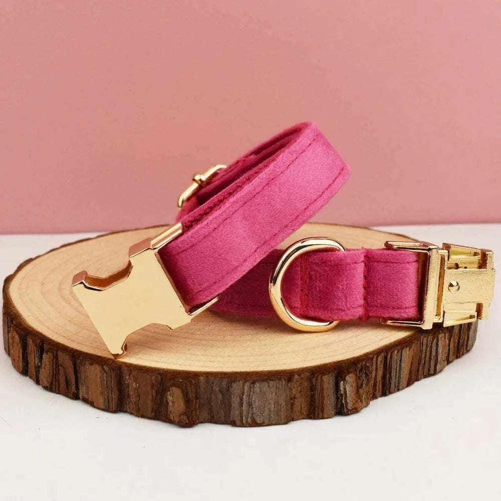 Velvet Dog Collar | Free Engraving for Medium and Large Dogs
