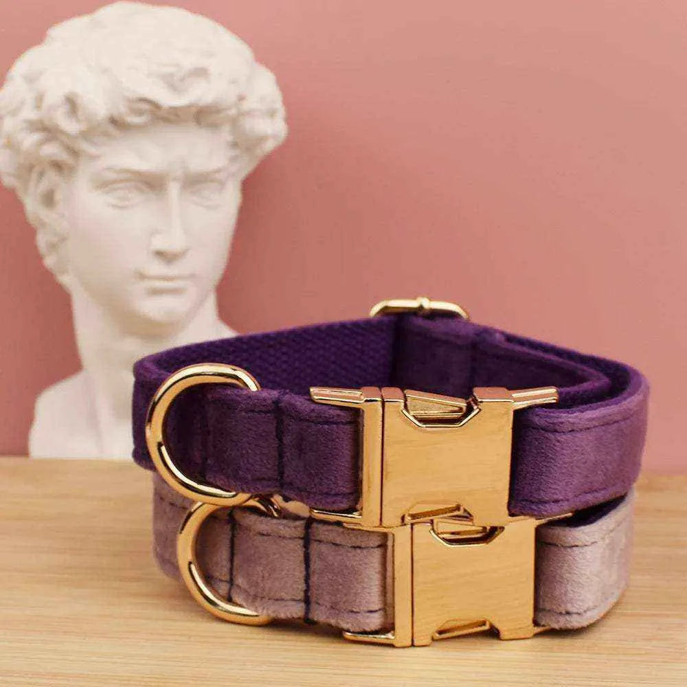 Velvet Dog Collar | Free Engraving for Medium and Large Dogs