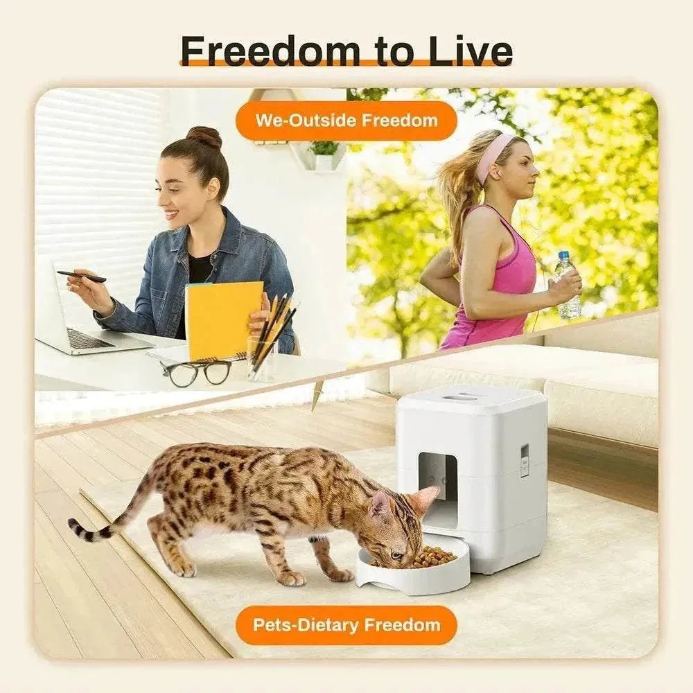 Distributeur automatique intelligent Petavista | Nourriture programmée & connectée