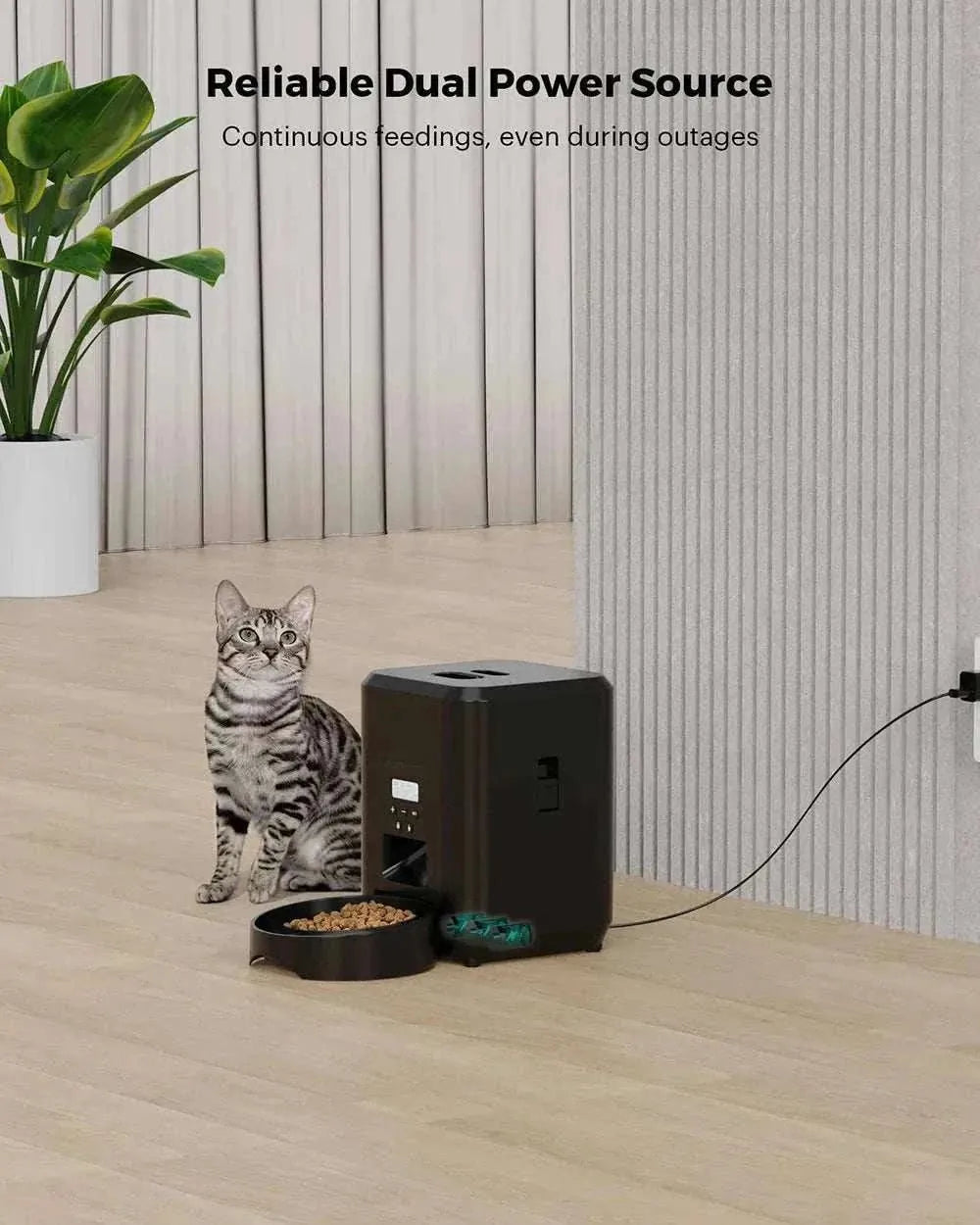 Distributeur automatique intelligent Petavista | Nourriture programmée & connectée