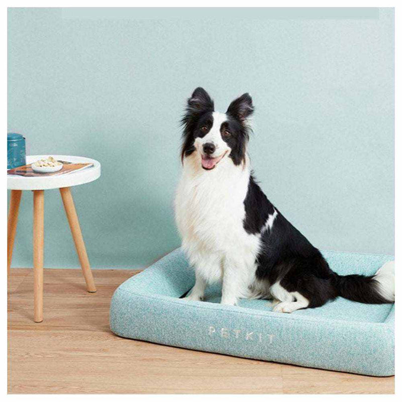 INSTACHEW Lit Petkit Deep Sleep bed with memory foam, featuring a black and white dog sitting comfortably.