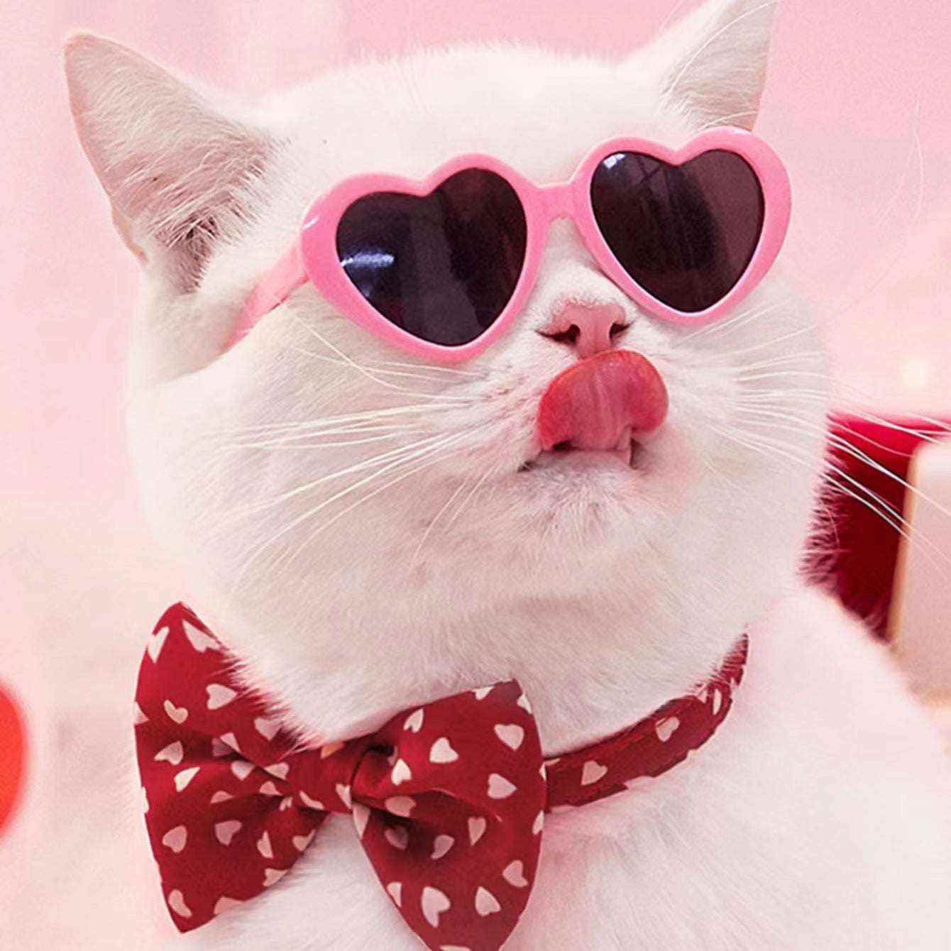 Cat wearing heart-shaped pink sunglasses, fashionable pet accessory for playful style.