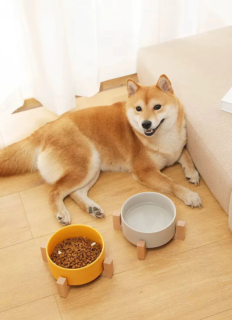 Comederos de cerámica premium para perros y gatos - Soporte de madera antideslizante