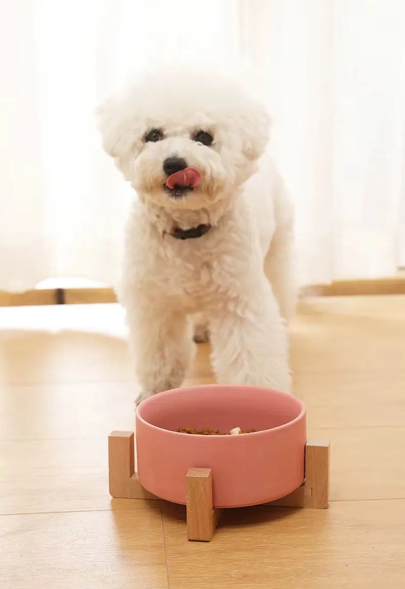 Comederos de cerámica premium para perros y gatos - Soporte de madera antideslizante
