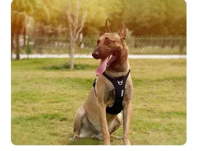 TRUE LOVE No-Pull Dog Harness | Reflective Nylon, Adjustable & Comfortable with Control Handle