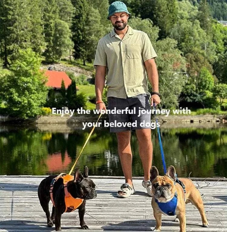 Arnés 2 en 1 con correa retráctil y antitirones para perros