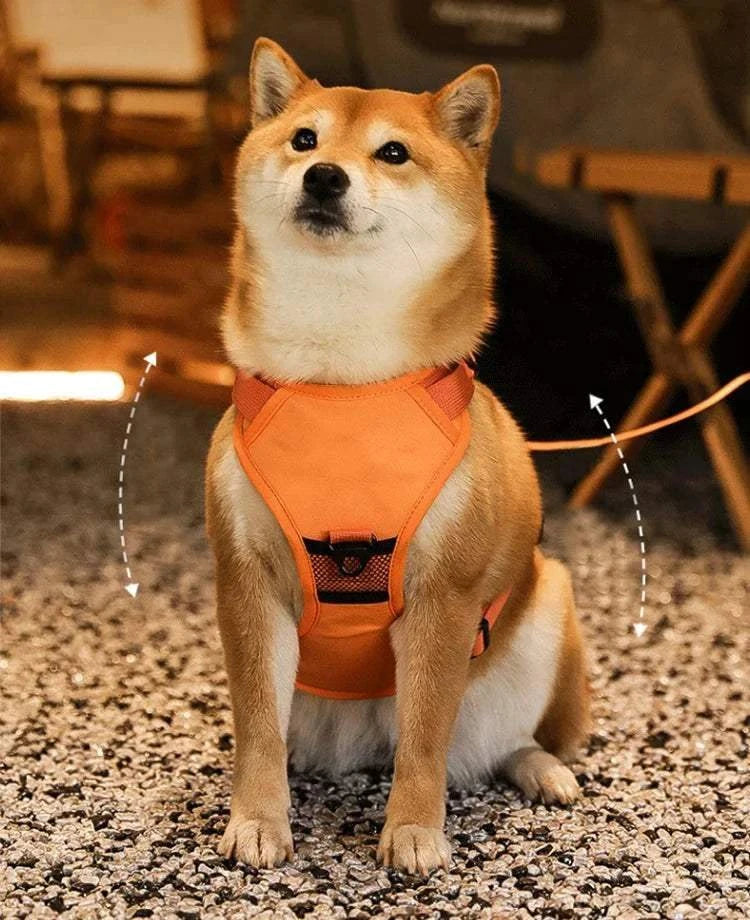 Harnais ergonomique avec laisse rétractable - vue d'ensemble de l'accessoire de promenade pour chien