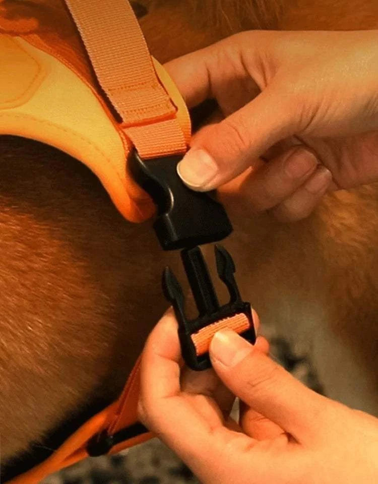 Arnés 2 en 1 con correa retráctil y antitirones para perros