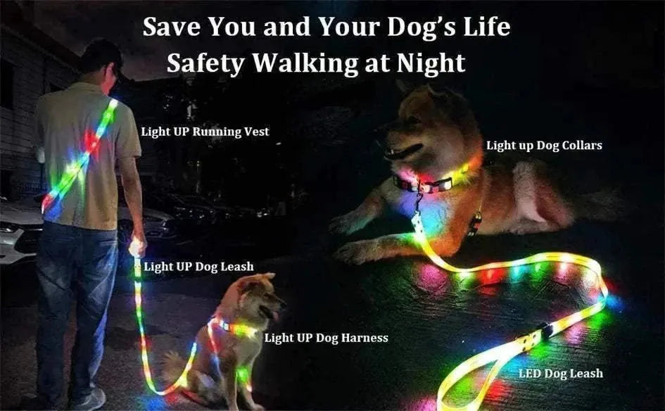 LED Light-Up Dog Leash and Collar | Night Safety, Waterproof & Rechargeable