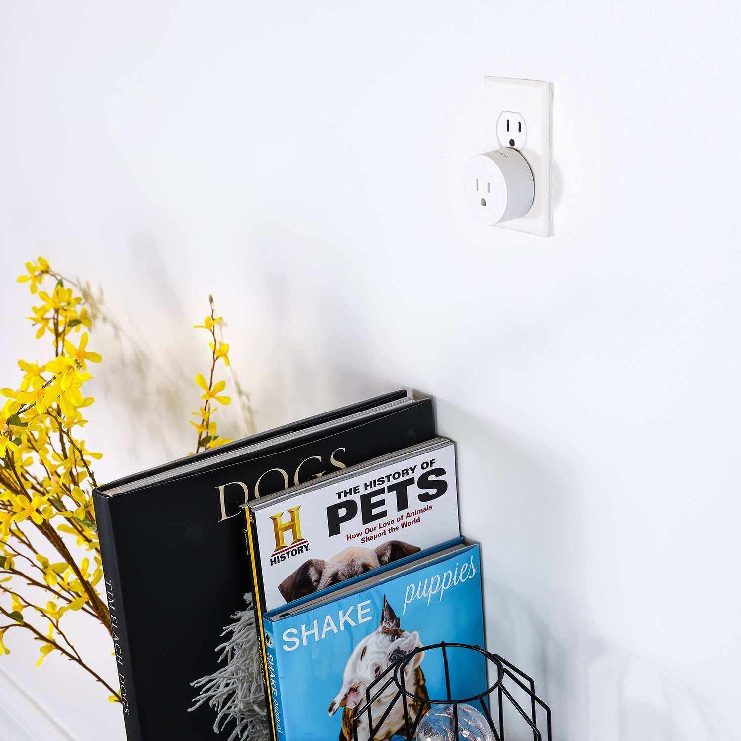 INSTACHEW, Pureconnect Smart Plug, Google Assistant and Alexa Com