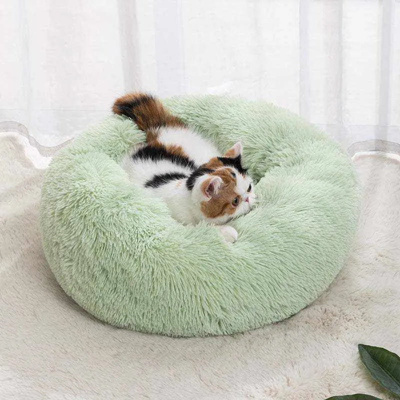 Self-Warming Cat Bed | Optimal Comfort & Warmth