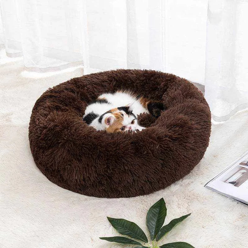 Self-Warming Cat Bed | Optimal Comfort & Warmth