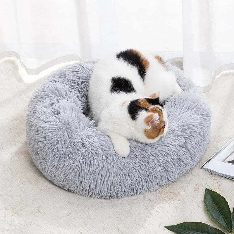 Self-Warming Cat Bed | Optimal Comfort & Warmth