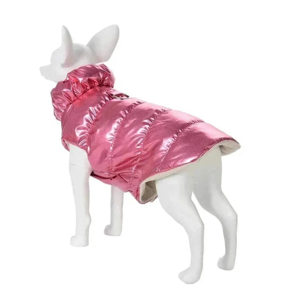 Manteau d’Hiver Imperméable pour Chien & Chat | Chaud, Coupe-Vent & Col Roulé