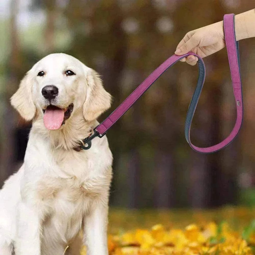 Personalized Leather Dog Collar - Engraved Name & Number | All Sizes & Breeds