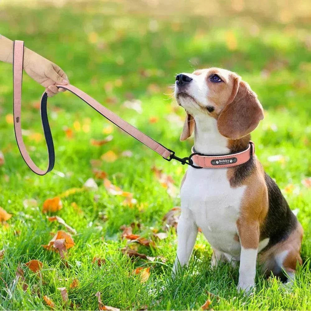 Colliers Personnalisés en Cuir pour Chien - Gravure Nom & Numéro | Toutes Tailles et Races