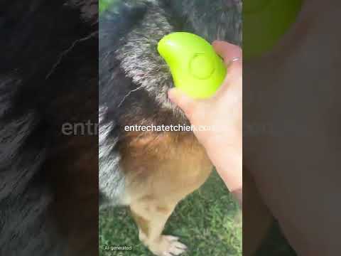 Vidéo démonstration - Brosse Électrique à Vapeur 3 en 1 pour chiens et chats, testée dans différentes conditions pour éliminer les poils morts et entretenir le pelage entre les toilettages.