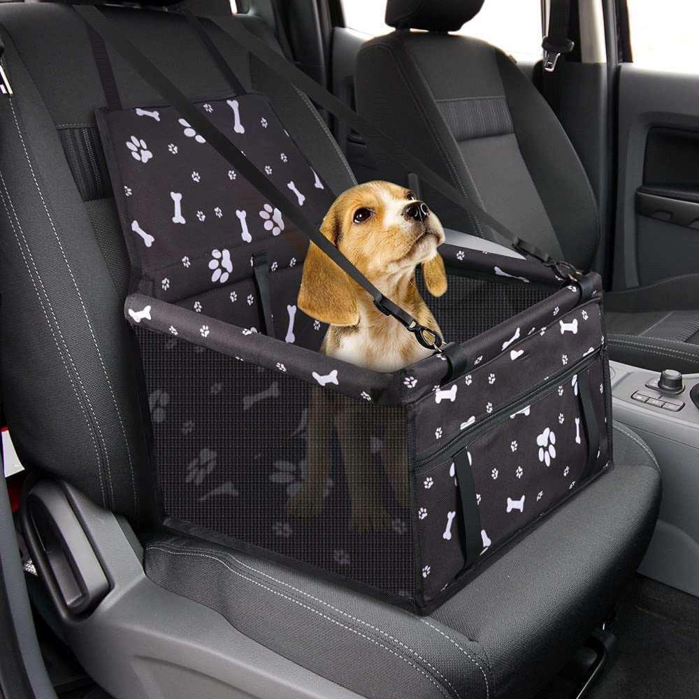 Finie la Peur en Voiture : Des Trajets Sereins pour Votre Chien