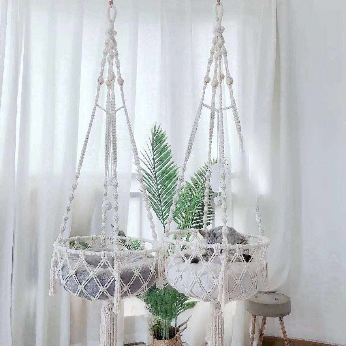 Chat installé dans un hamac en macramé – essentiel pour accueillir un chat avec confort et style