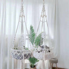 Guide ultime des essentiels pour accueillir un chat heureux et en santé