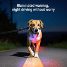 Night time walks: 5 essential accessories for your pet's safety