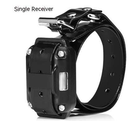 Collier de Dressage pour Chien avec Télécommande