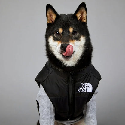 Veste d'Hiver Rembourrée pour Chien - Polyester Chaud et Confortable