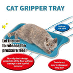 Planche à Griffer Durable | Divertissement pour Chats | Coloré