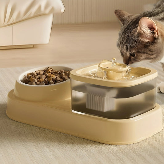 Distributeur d'eau pour chat et bol d'alimentation 2-en-1, distributeur d'eau automatique de séparation sèche et humide, bol d'alimentation robuste pour chat, fournitures d'alimentation pour chat et chien, conception d'écoulement facile à nettoyer