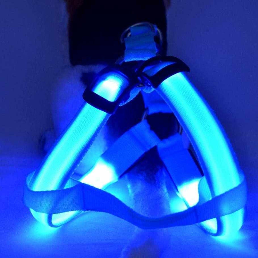 Harnais lumineux LED bleu pour chien et chat, bandes fluorescentes, sécurité et visibilité nocturne.