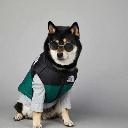 Veste d'Hiver Rembourrée pour Chien - Polyester Chaud et Confortable