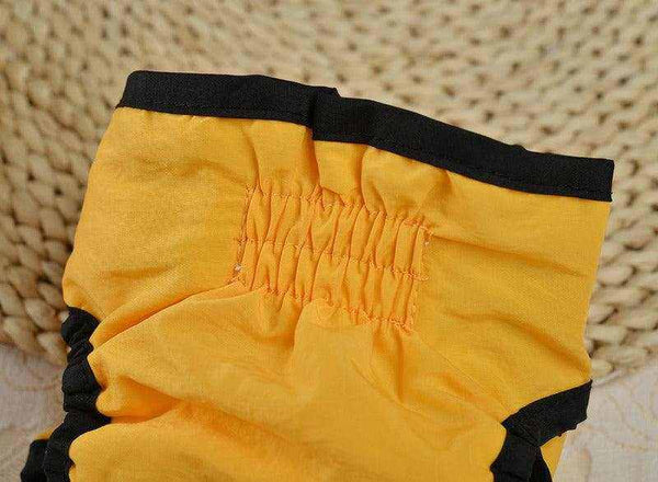 Culottes physiologiques pour chiens | Confort, hygiène & protection