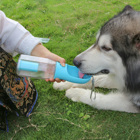 Bouteille d'eau 3 en 1, pour chien