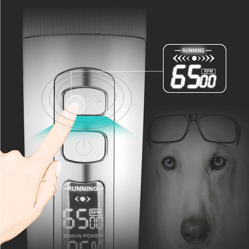 Baorun P9 - Tondeuse Électrique Professionnelle pour Chiens