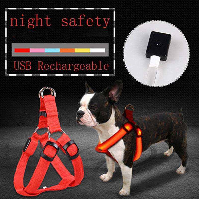 LED pet harness for dogs and cats with adjustable chest strap, night safety, and USB rechargeable feature.