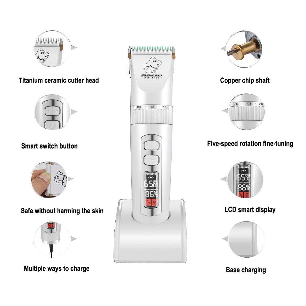 Baorun P9 - Tondeuse Électrique Professionnelle pour Chiens