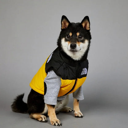 Veste d'Hiver Rembourrée pour Chien - Polyester Chaud et Confortable