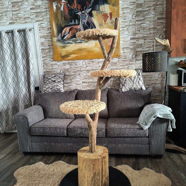 Arbre à Chat Artisanal en Bois Naturel | À partir de 450$
