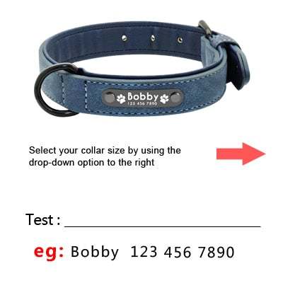 Colliers personnalisés en cuir pour chiens de toutes tailles et races